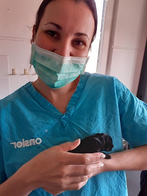 001 Tier�rtzin A. Dumtseva