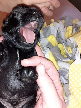 002 2 wochen alt (3)