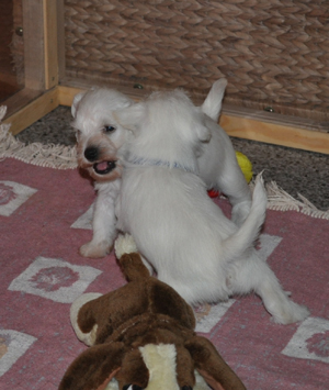 06 November 2012 00702