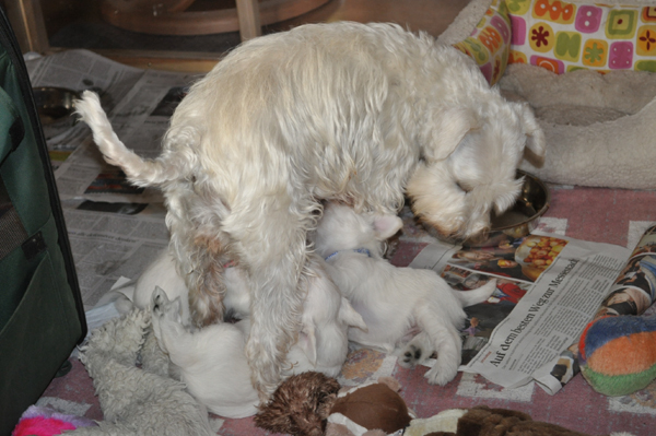 06 November 2012 00802