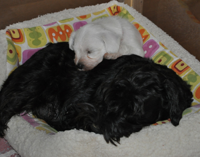 08 November 2012 00302