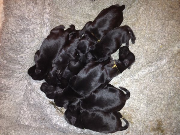 1. woche02 1. woche02