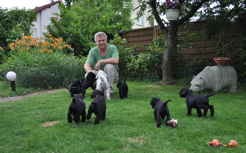 240612 Mona Welpen 004