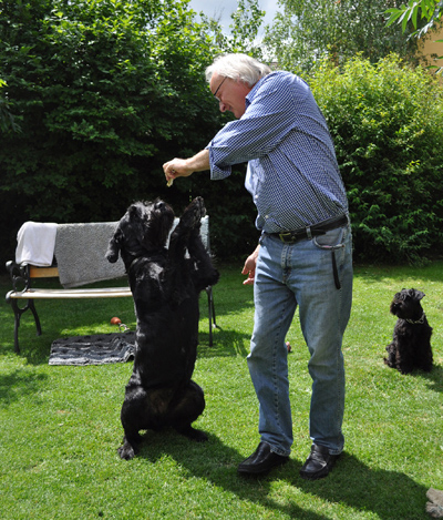 240612 Mona Welpen 03102