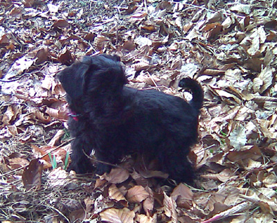 Bild003 Bild003