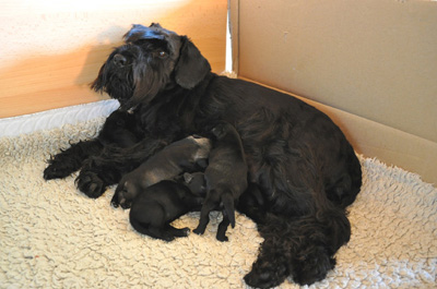 Mona P Wurf 025 Kopie