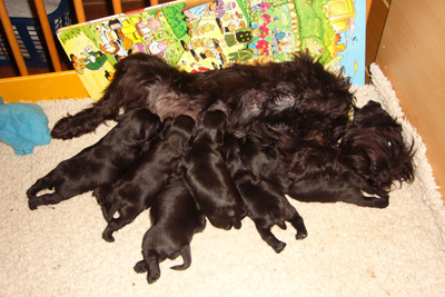 MonasBabys130109 005