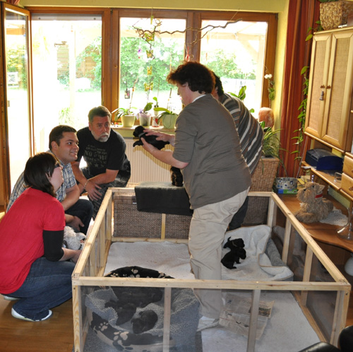 Monas Welpen 170512 001