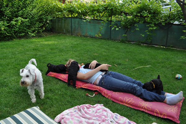 Paula Welpen 04.07kopie