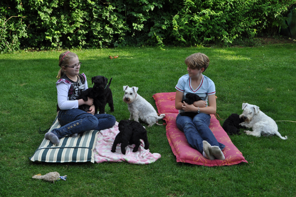 Paula Welpen kopie 04.07