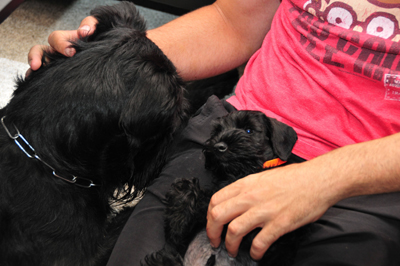 Samuel im neuen zuhause1