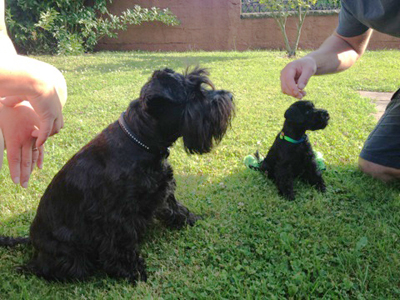 Sunny im neuen Zuhause