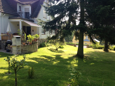 Sunny im neuen Zuhause2