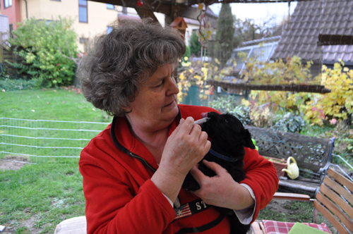 Y Welpen 5.Nov.19 (1)