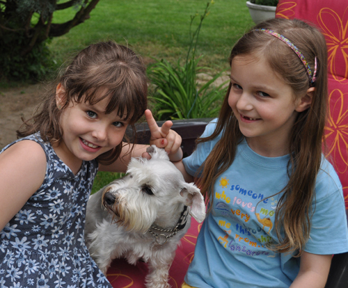 Zwergschnauzer und kinder 103