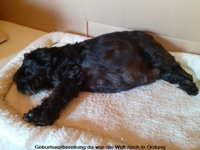 001 Geburtsvorbereitung