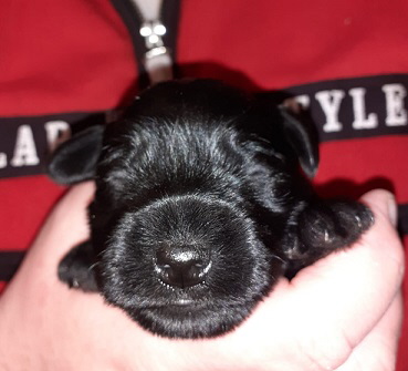 002 2 wochen alt (2)