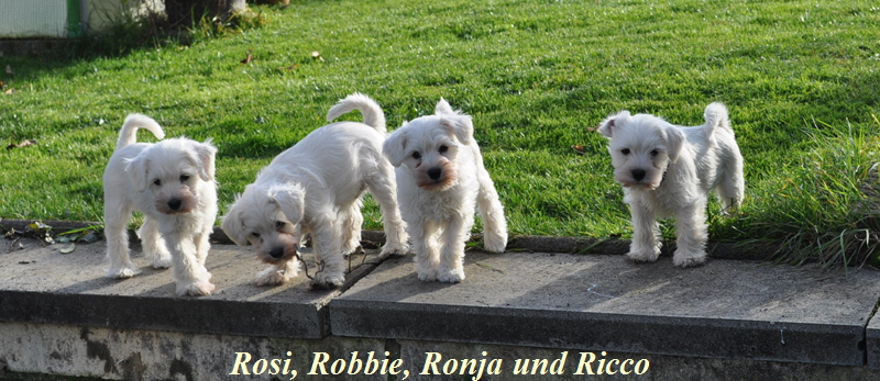 01Dezember 2012 009 Kopie