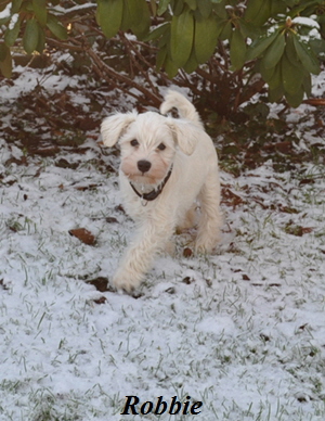 01Dezember 2012 034 Kopie02