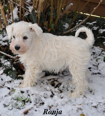 01Dezember 2012 035 Kopie02