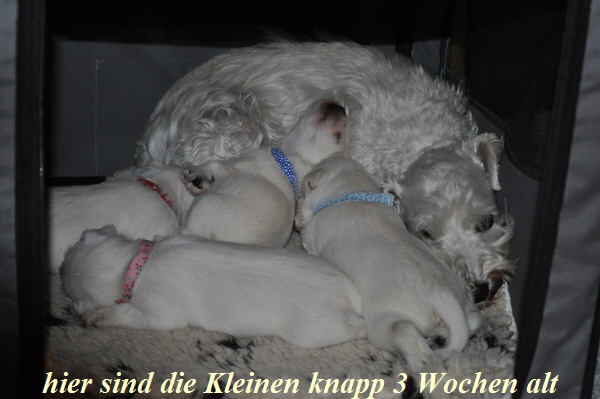 01 November 2012 002