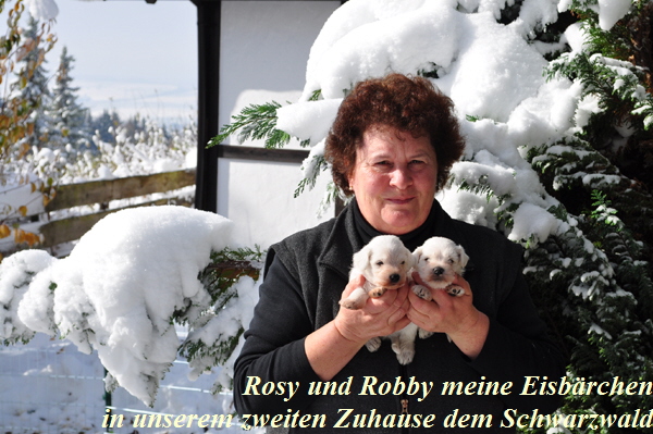 01 November 2012 017 Kopie