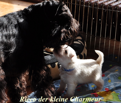 01 November 2012 092 Kopie02