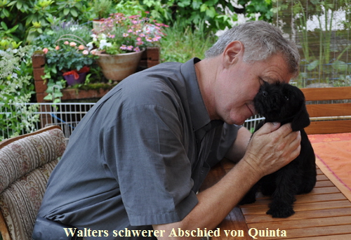 060712 Mona Welpen 007 Kopie