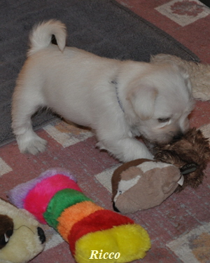 06 November 2012 02402