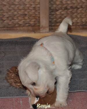 06 November 2012 02603