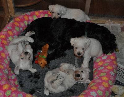 08 November 2012 00102