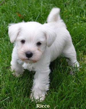 14 November 2012 00202