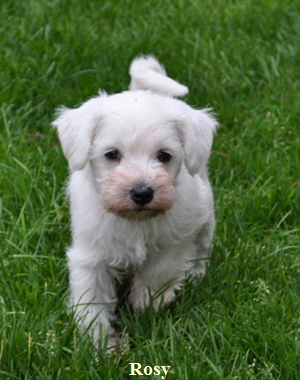 14 November 2012 00402