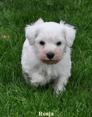 14 November 2012 011 Kopie