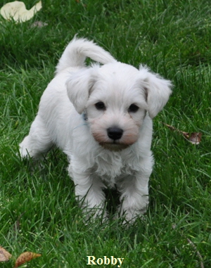 14 November 2012 019