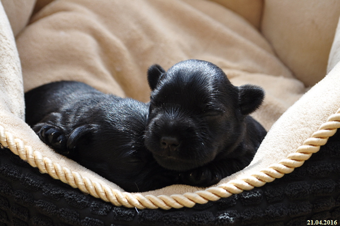 1. Woche Vanny und Vroni02