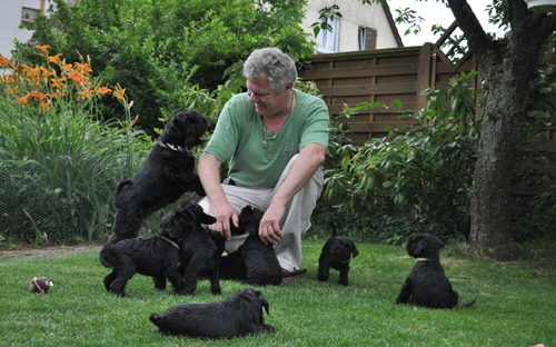 240612 Mona Welpen 013