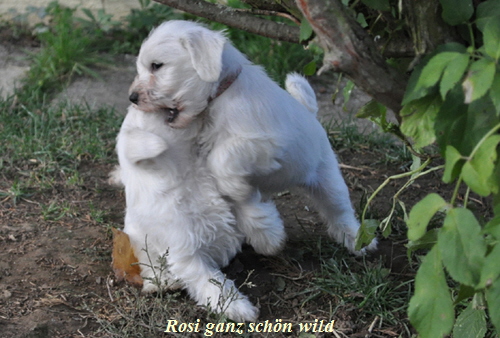 24 November 2012 00302