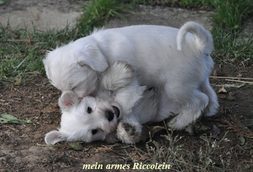 24 November 2012 005