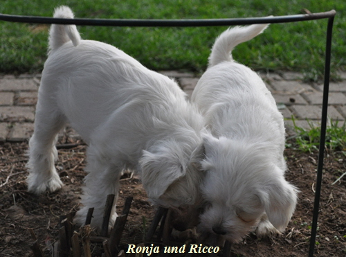 24 November 2012 008