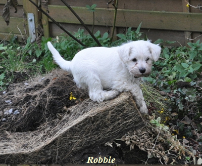 24 November 2012 01402