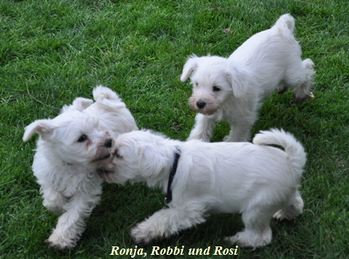 24 November 2012 017