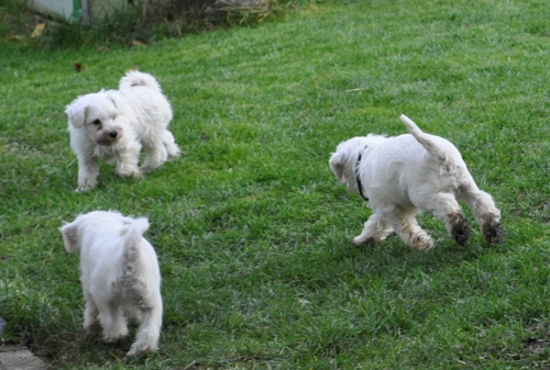 24 November 2012 018