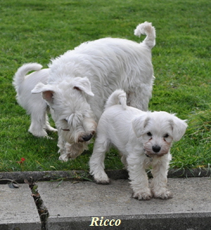 24 November 2012 02102