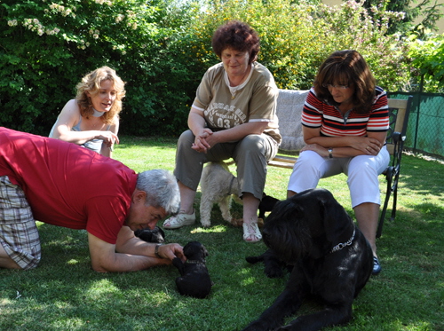 260512 Mona Welpen 027