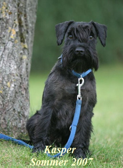 4FB306205D7D11DCB551238954A16AE1 Kopie02