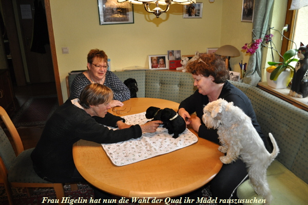 4. Woche Frau Higelin