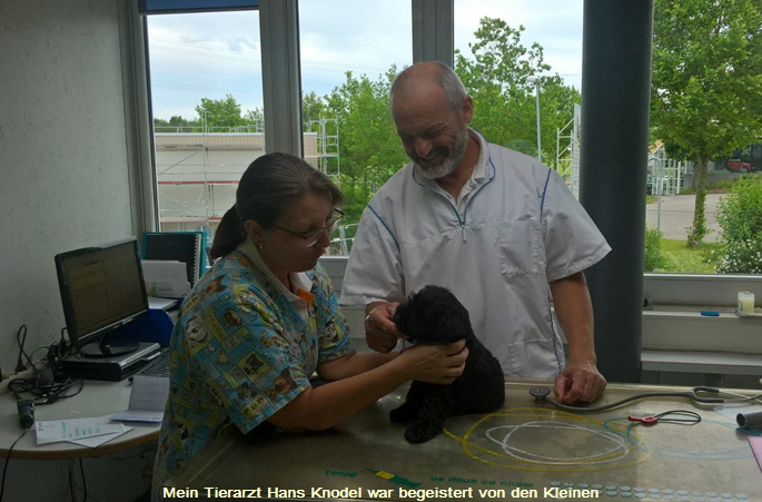 8 beim Tierarzt (2)