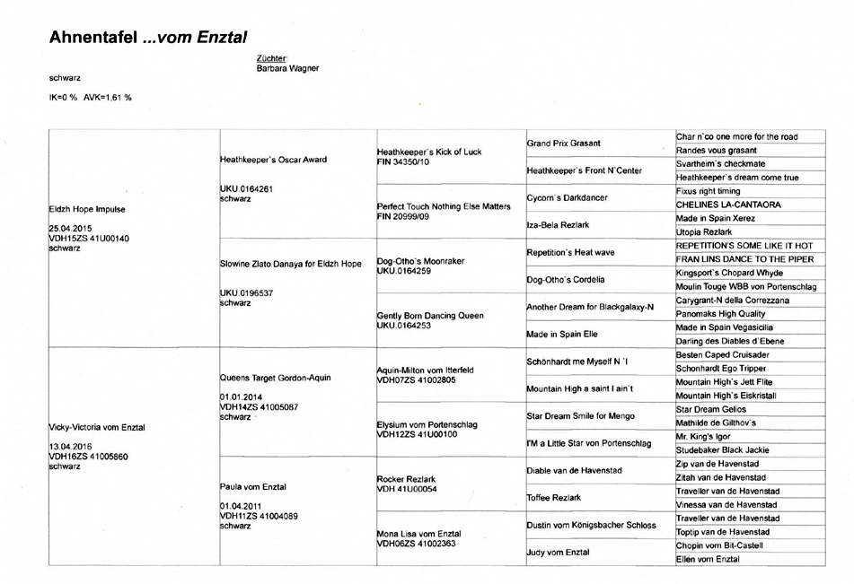Ahnentafel Vicky  Kopie02