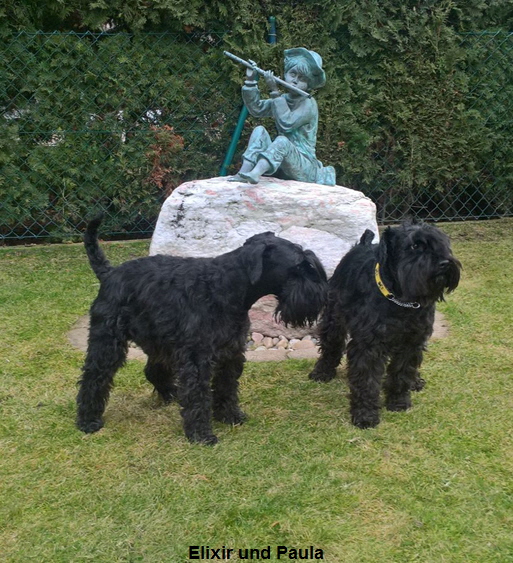 Elixir und Paula 02-2017